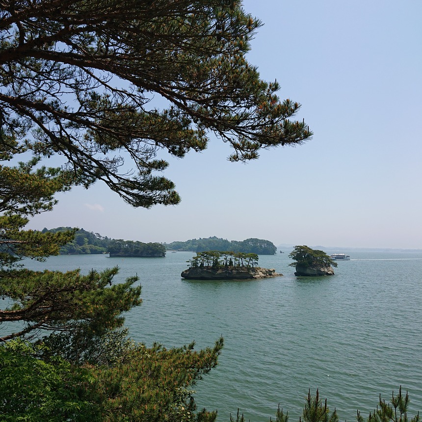 DSC_0347 (2022-05-25T11_28_40.139)