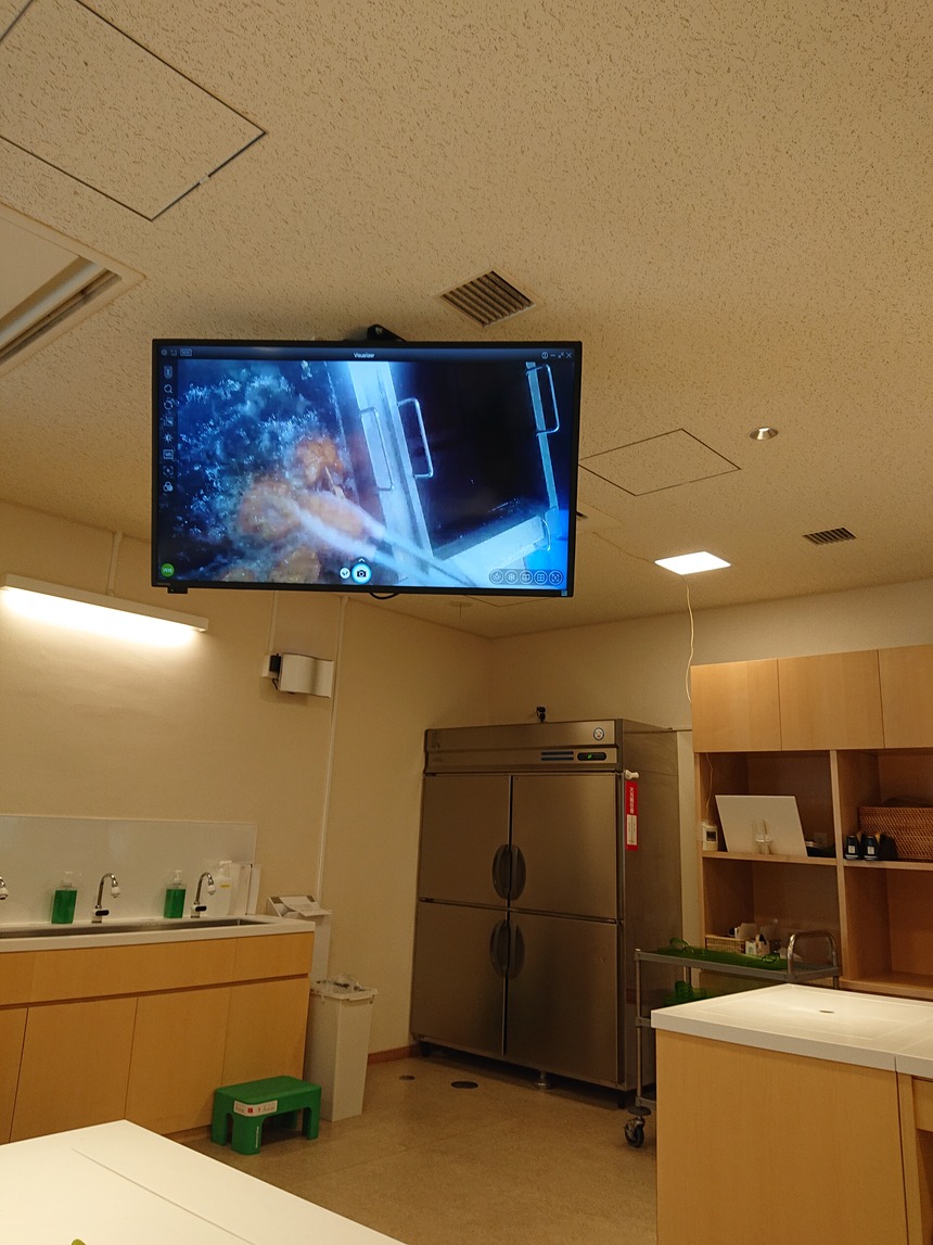 DSC_0489 (2020-07-26T11_56_24.000)