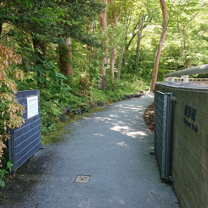 DSC_1047 (2022-05-29T10_38_55.653)