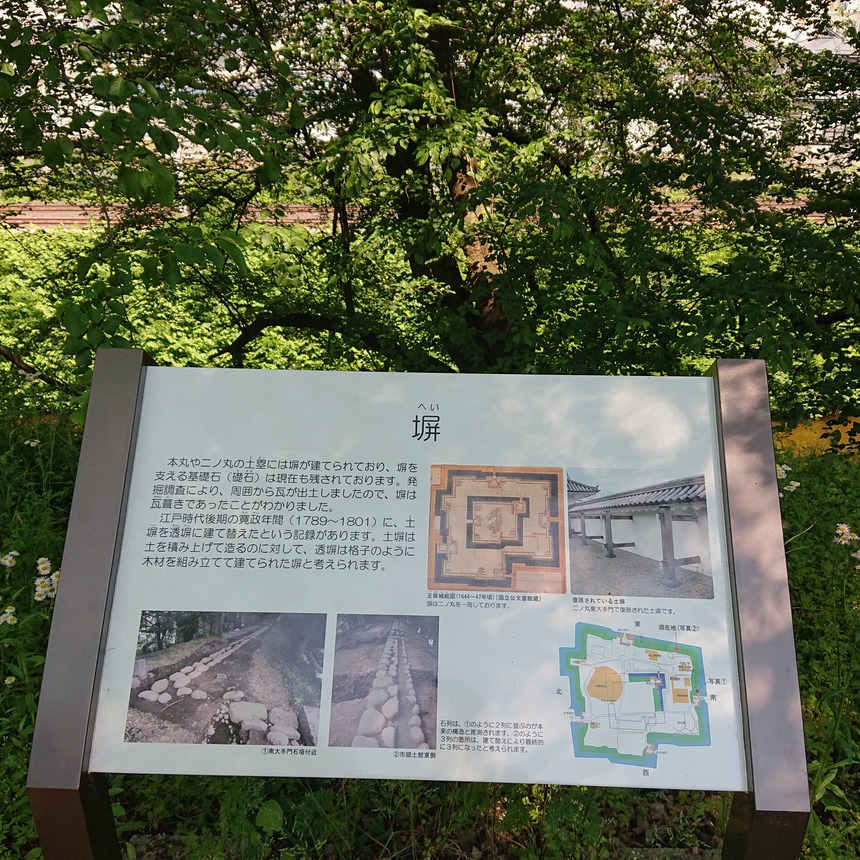 DSC_0463 (2022-05-25T11_31_47.061)