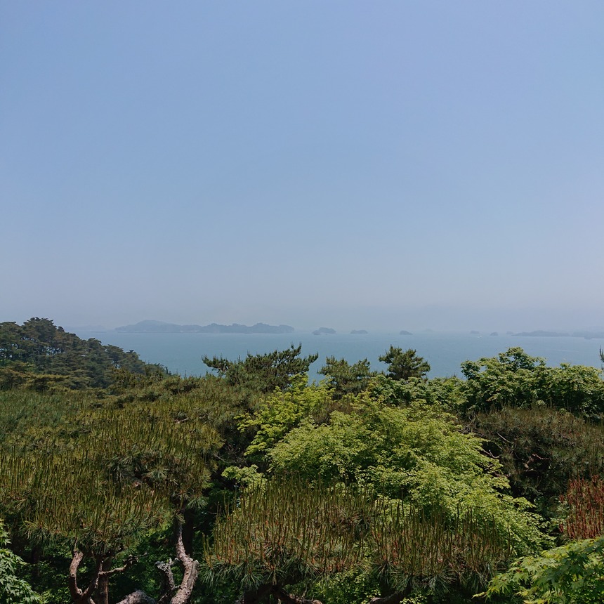 DSC_0411 (2022-05-25T11_29_57.350)