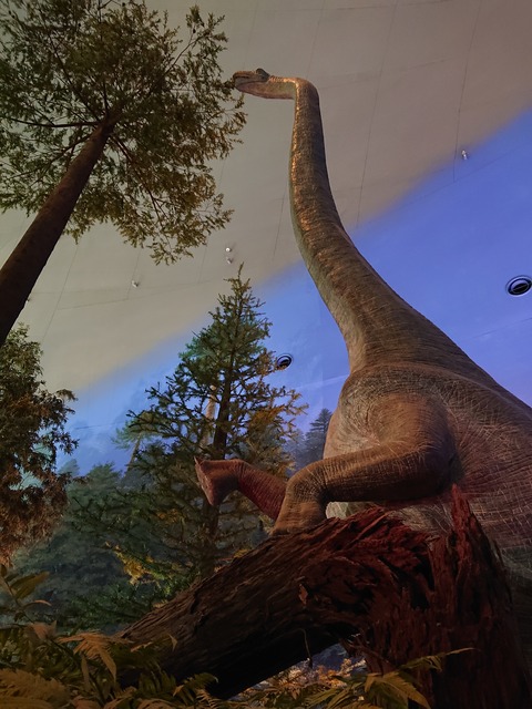 DSC_1611 (2020-01-27T12_17_35.000)