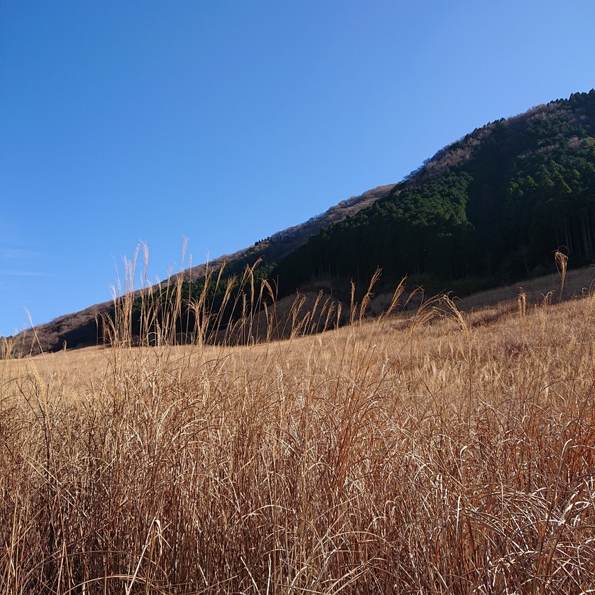 DSC_0594 (2021-12-11T10_48_43.402)