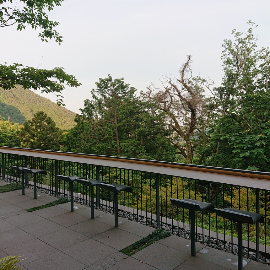 DSC_0914 (2022-05-27T11_13_36.691)