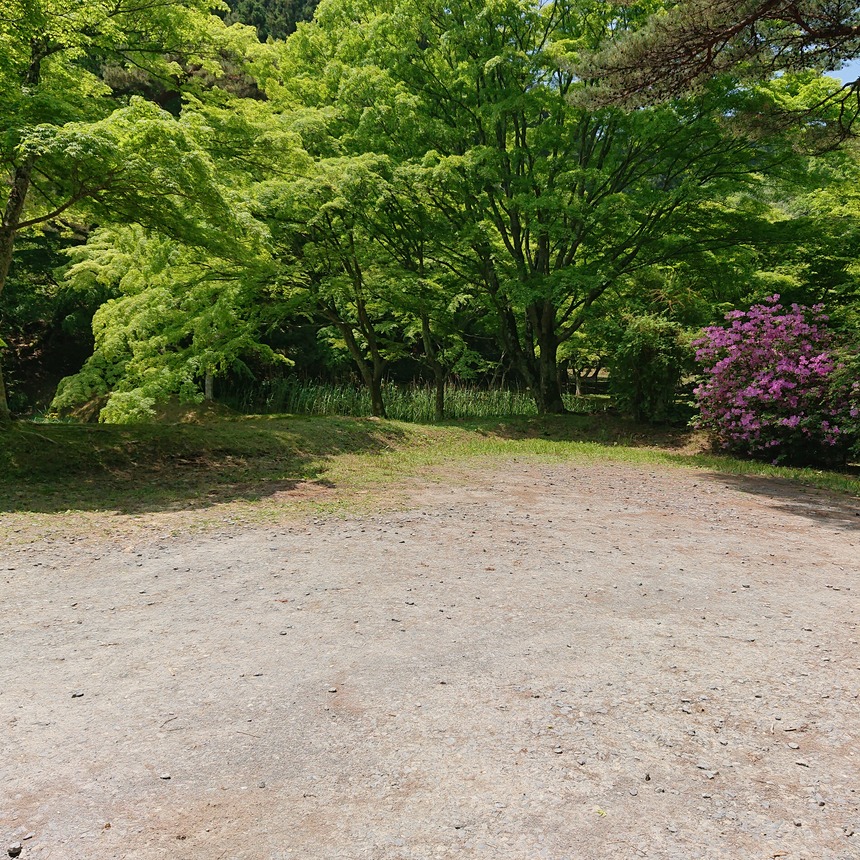 DSC_0391 (2022-05-25T11_29_48.558)