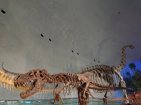 DSC_1609 (2020-01-27T12_08_12.000)