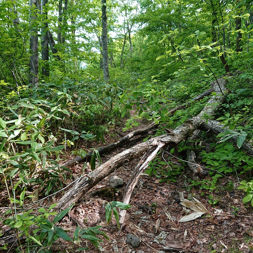 DSC_0633 (2022-05-26T12_13_40.212)