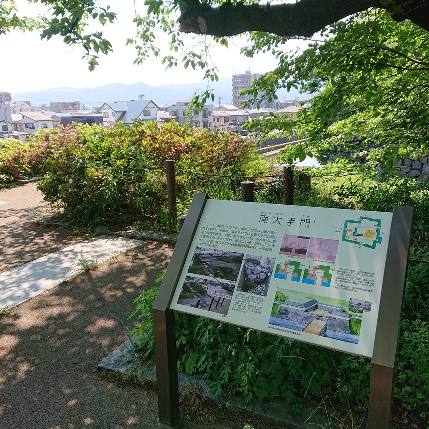DSC_0457 (2022-05-25T11_31_59.165)