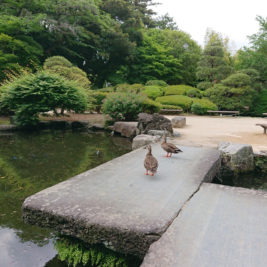 DSC_0747 (2022-05-26T19_22_47.017)