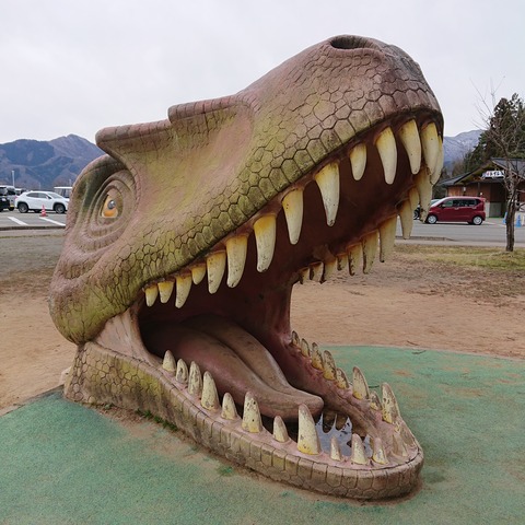 DSC_1597 (2020-01-27T11_45_47.000)