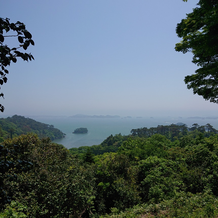 DSC_0396 (2022-05-25T11_29_31.382)
