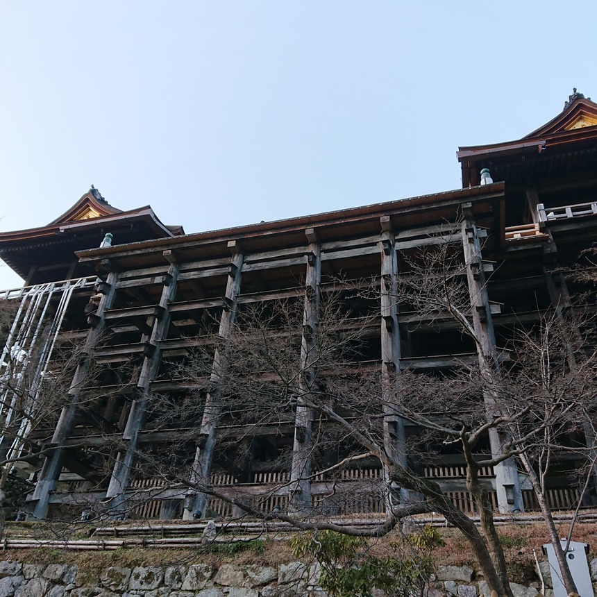 DSC_1067 (2022-01-29T05_27_42.975)