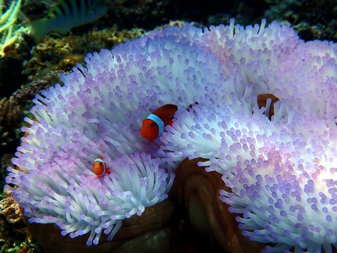 P9070005