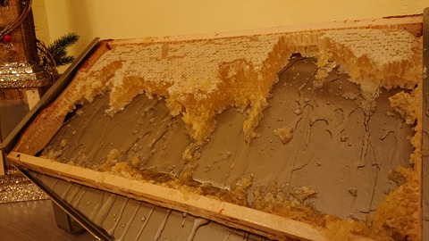 DSC_1054 (2019-12-28T07_46_04.000)