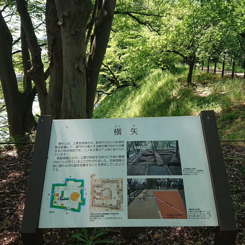 DSC_0459 (2022-05-25T11_31_54.314)