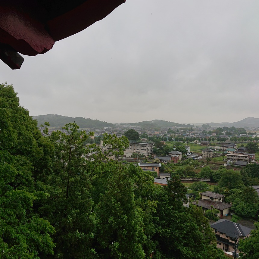 DSC_0834 (2022-05-27T03_36_12.135)