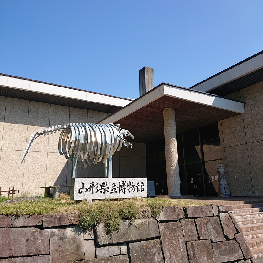 DSC_0493 (2022-05-25T11_34_37.742)