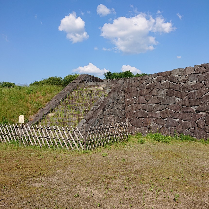 DSC_0547 (2022-05-25T11_32_59.053)