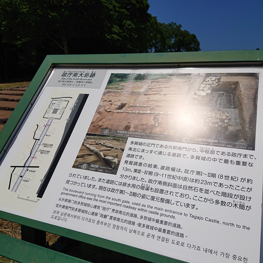 DSC_0429 (2022-05-25T11_35_54.156)
