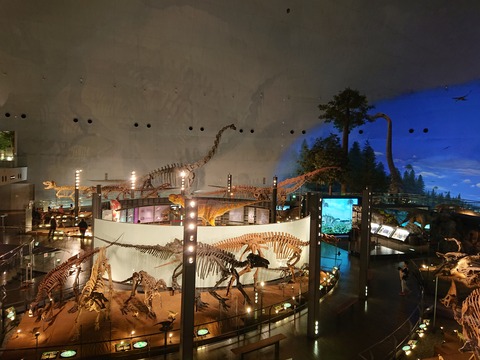 DSC_1617 (2020-01-27T12_45_50.000)