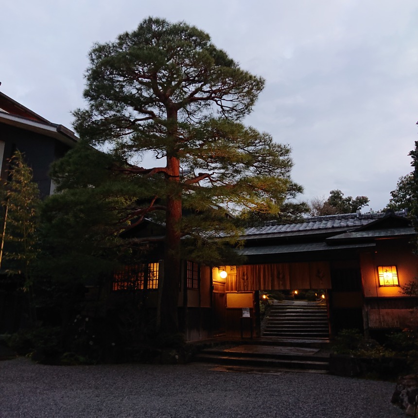 DSC_1170 (2022-01-29T12_10_47.947)