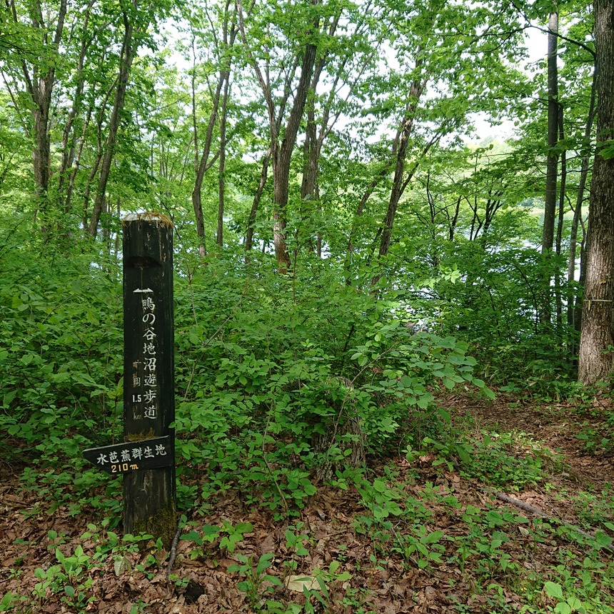 DSC_0642 (2022-05-26T12_07_36.283)
