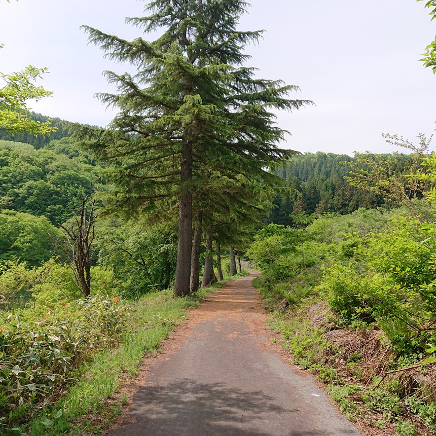 DSC_0615 (2022-05-26T13_18_19.739)