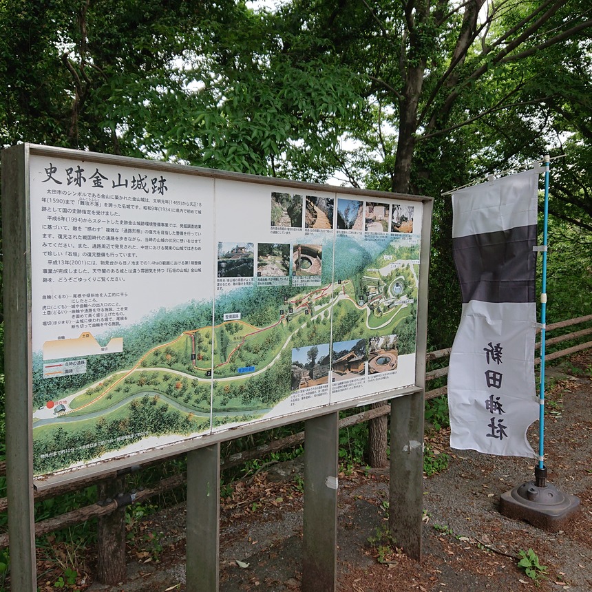 DSC_0667 (2022-05-26T12_34_40.006)