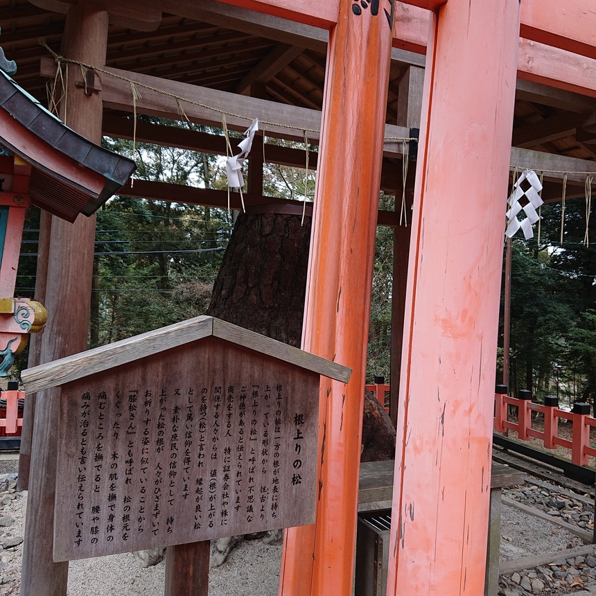 DSC_0941 (2022-01-29T12_17_03.836)