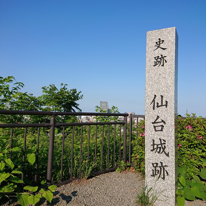 DSC_0256 (2022-05-24T09_51_06.245)