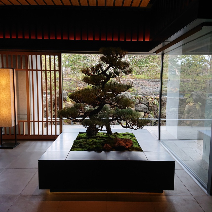 DSC_1260 (2022-01-30T09_32_40.416)