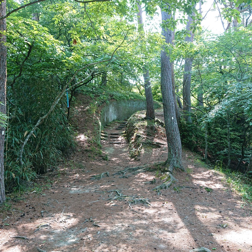 DSC_0326 (2022-05-25T11_27_19.344)