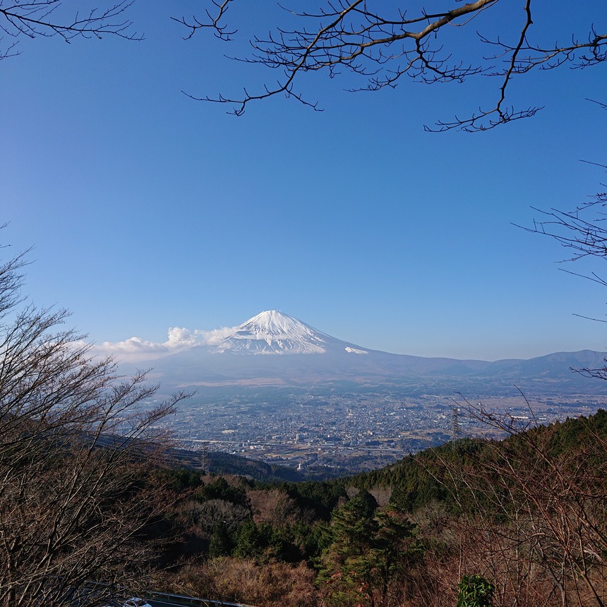 DSC_0598 (2021-12-11T10_48_54.149)