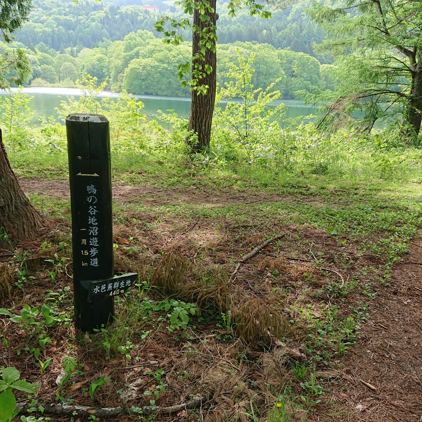 DSC_0605 (2022-05-26T12_07_25.472)