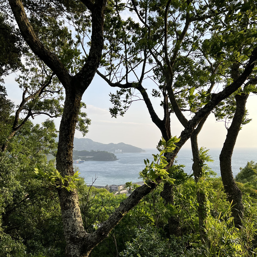 2023-05-06_17-35-27_758