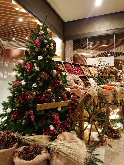 DSC_1641 (2020-11-06T10_28_48.395)