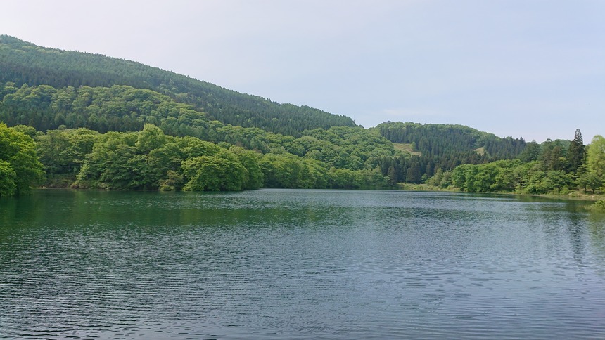 DSC_0649 (2022-05-26T12_25_20.626)