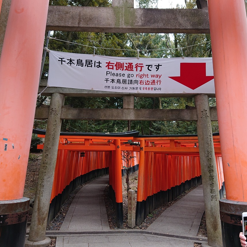 DSC_0933 (2022-01-29T12_17_13.691)