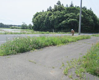 images05