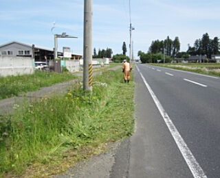 images07