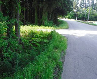 images03