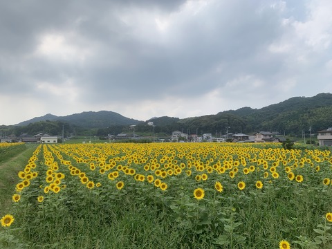 AECEC9BC-2FA0-48A5-8141-2C716E385ACD