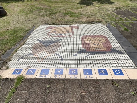 D9C61176-BA86-449D-803E-6160FDDE30E4