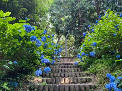 1B30CC03-098E-45E2-A747-3AE98A339437