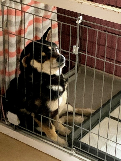 3D6B98C7-29A8-495D-B601-EB560A7C59C7