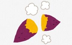 芋←こいつが主食になれなかった理由ｗｗｗｗｗｗ