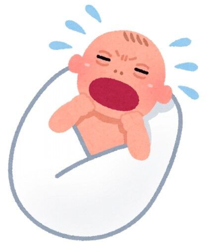 生まれたばかりの赤ちゃん見せに実家帰ったらめちゃくちゃ文句言われた