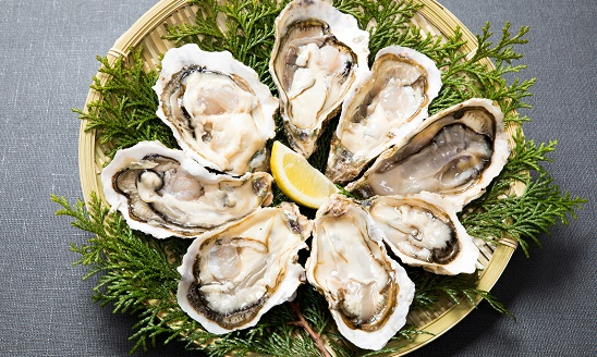 【画像】研究者「絶対にあたらない牡蠣の養殖に成功したぞ！」←なぜか日本人にぶっ叩かれてしまう…