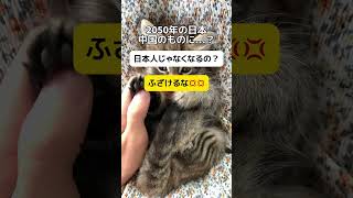 【え?】2050年、日本は中国のものに?