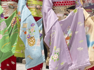 舞妓はん、16歳から混浴・性接待・飲酒当たり前で月給は5万円だったことが海外にバレる